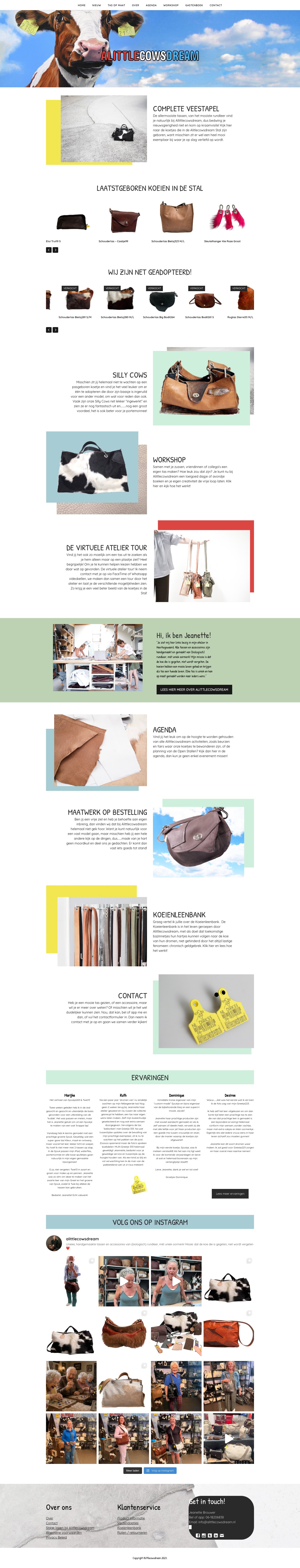 Screenshot van de website van A little cows dream