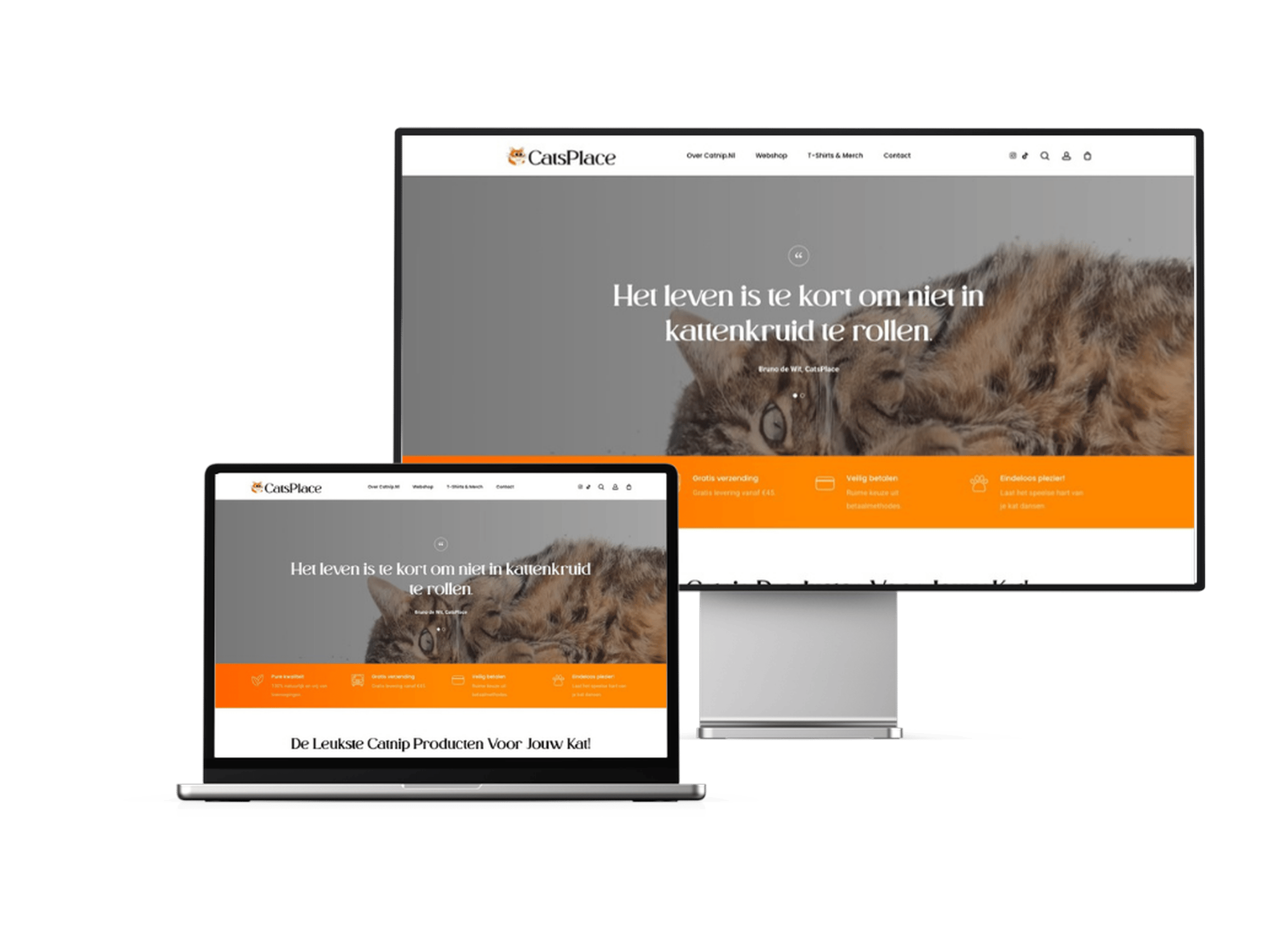 Catnip.nl webshop by CatsPlace on desktop and laptop